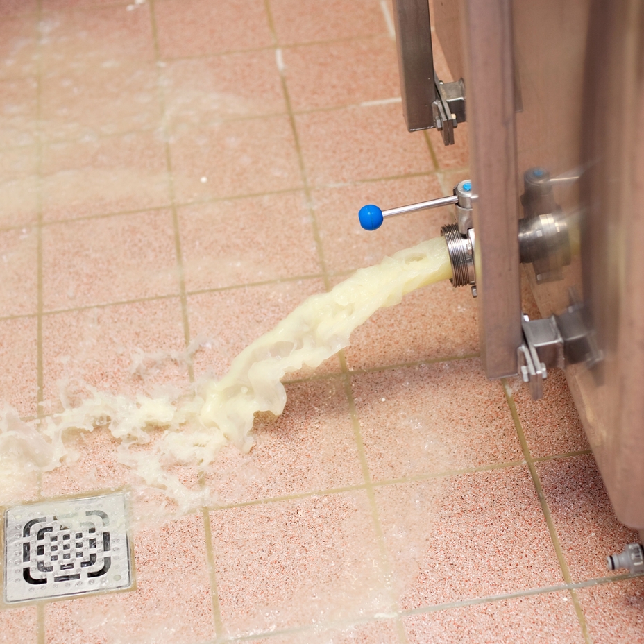 Wastewater treatment in the food industry