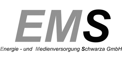 Logo společnosti: EMS GmbH, Germany
