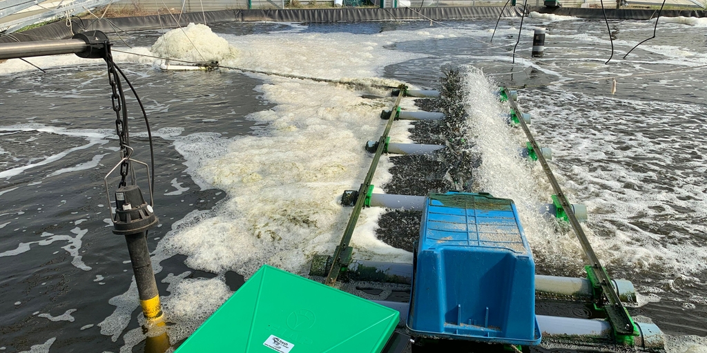 Spolehlivé monitorování kvality vody pro zajištění ideální sklizně při pěstování krevet v akvakulturách