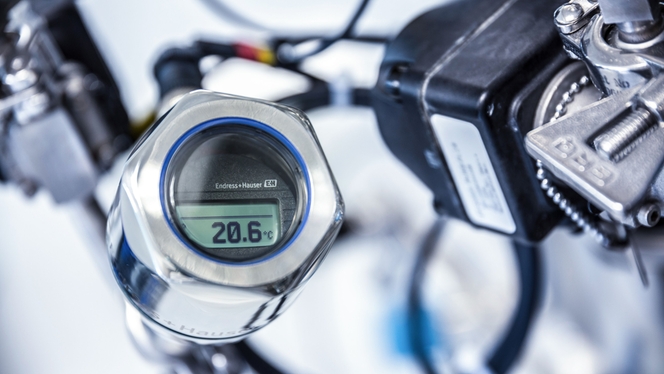 Sanitární teploměr iTHERM TM411 s digitálním displejem